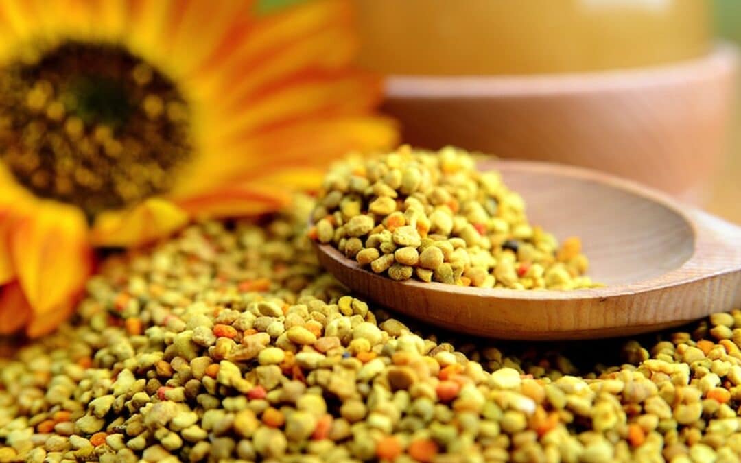 Bees Pollen for weight loss